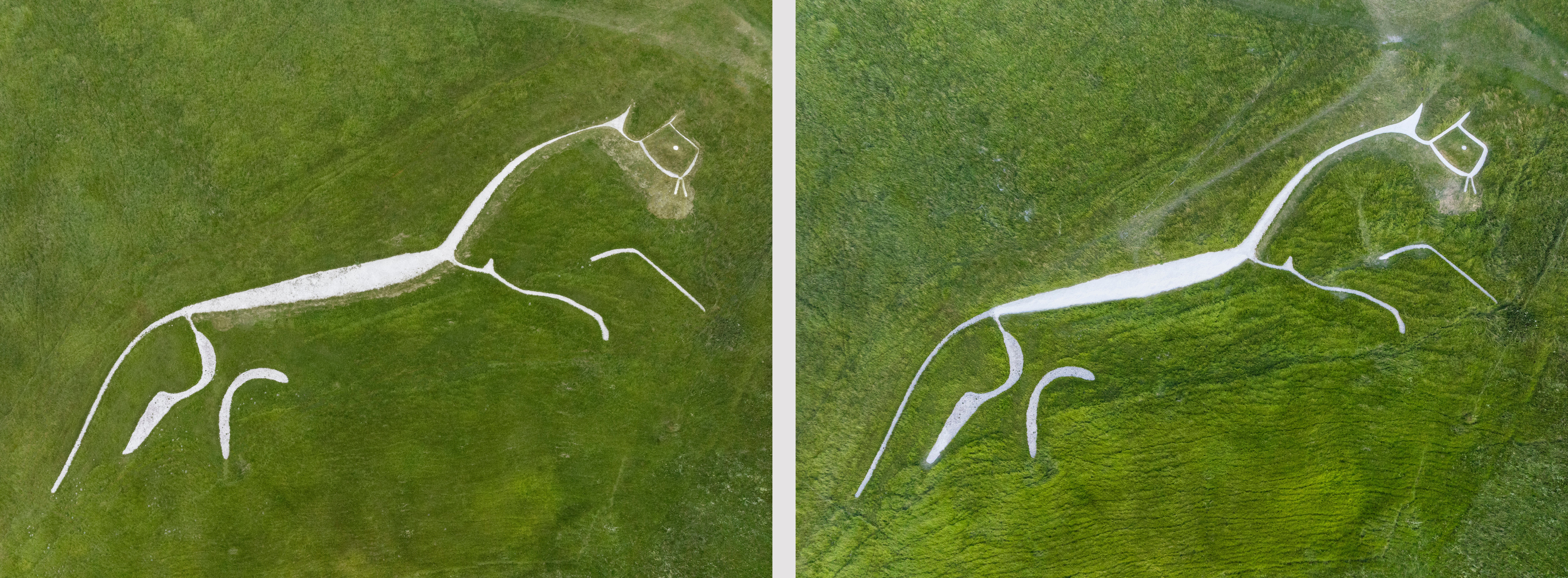 Archaeological work last year, including examination of previous surveys, showed that parts of the ancient chalk horse carved into the hillside have narrowed over time