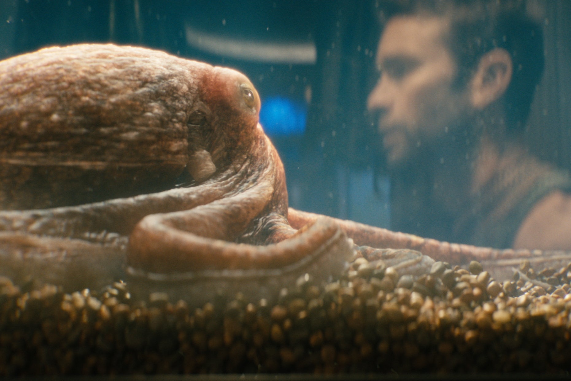 Chace Crawford as The Deep with Ambrosius the octopus, voiced by Tilda Swinton, in ‘The Boys’