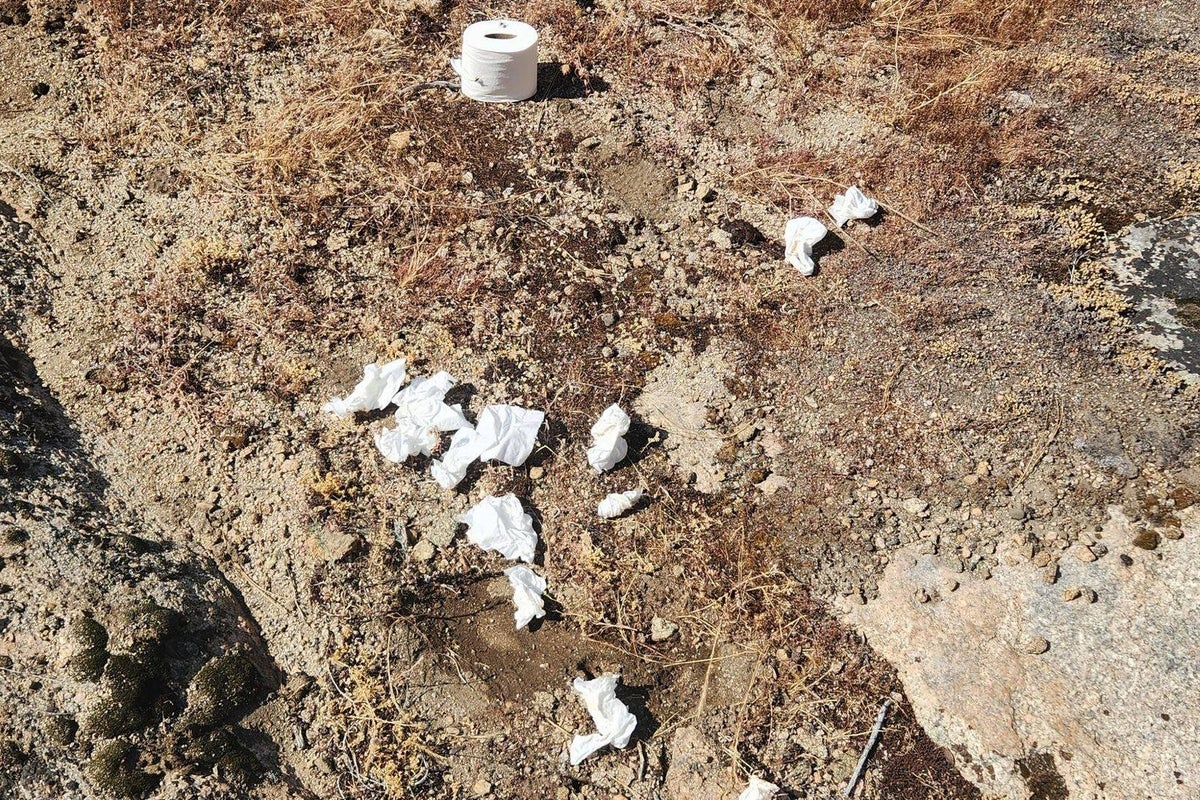 Park rangers demand visitors stop leaving used toilet paper behind in Yosemite