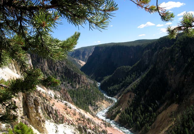 Yellowstone Shooting