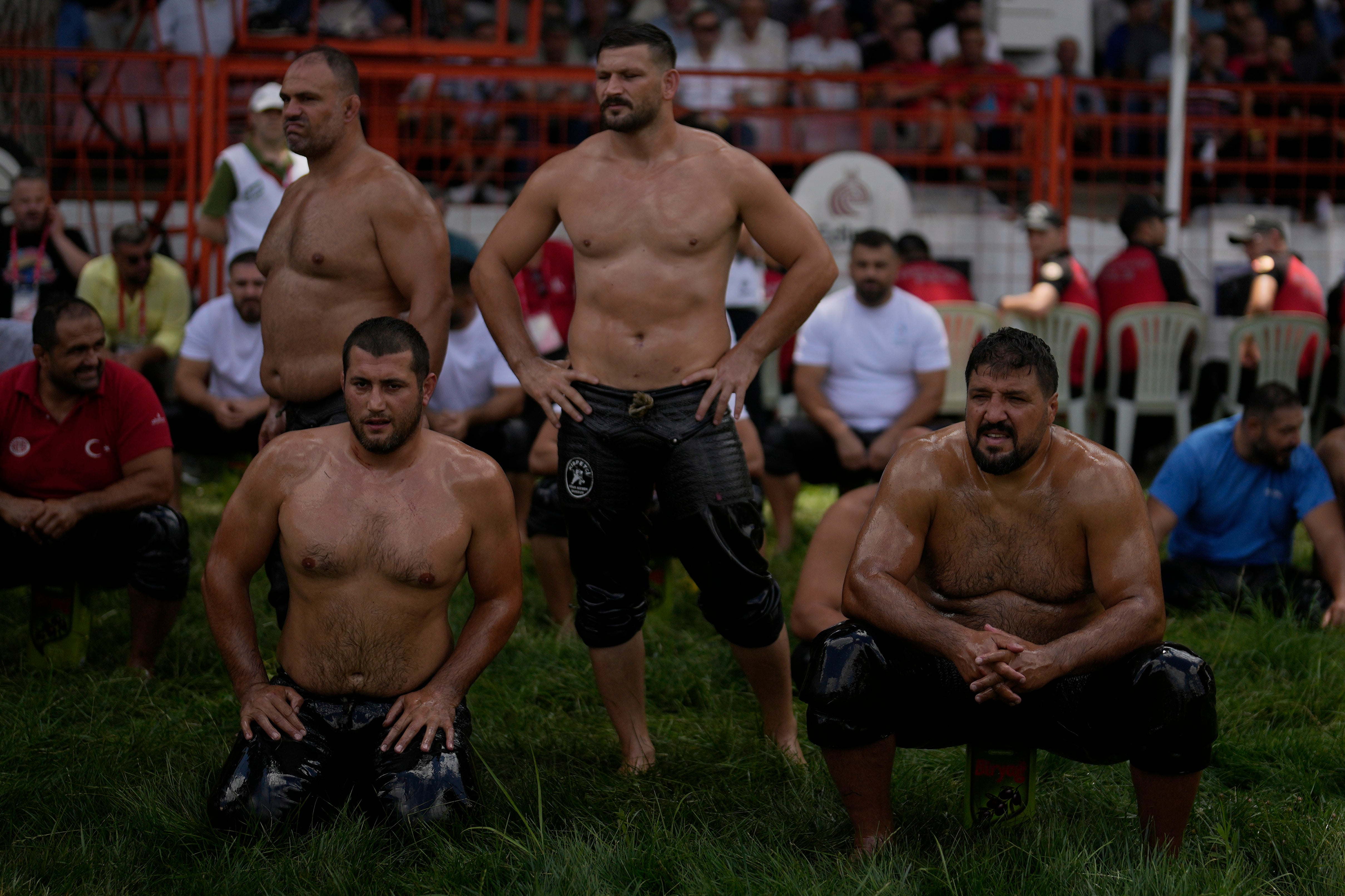 Turkey Oil Wrestling Photo Gallery