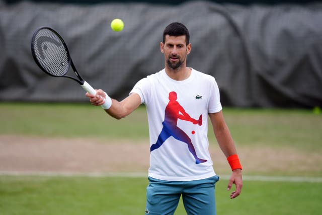 Novak Djokovic ended up only being put through his paces at Aorangi Park on Wednesday after Alex De Minaur had to pull out before their last eight battle (John Walton/PA)