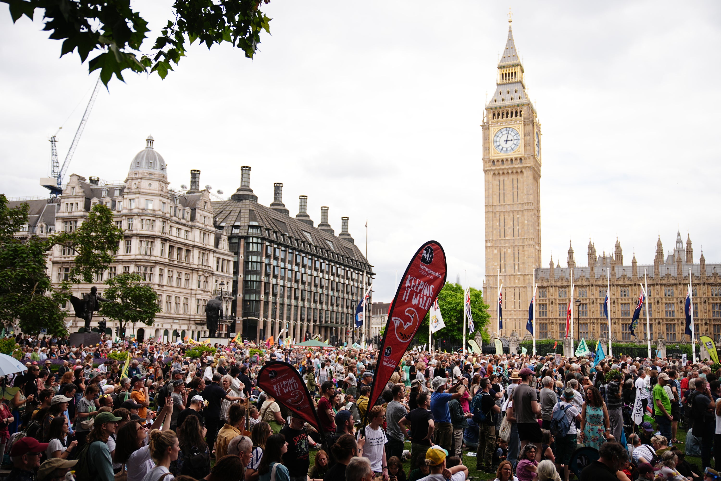 People during a Restore Nature Now rally at Parliament Square in central London in June (Aaron Chown/PA)