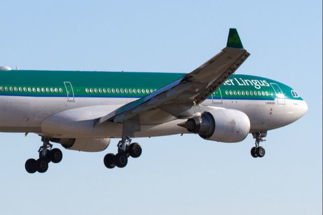 <p>Clear skies? Aer Lingus A330 landing at Dublin airport</p>
