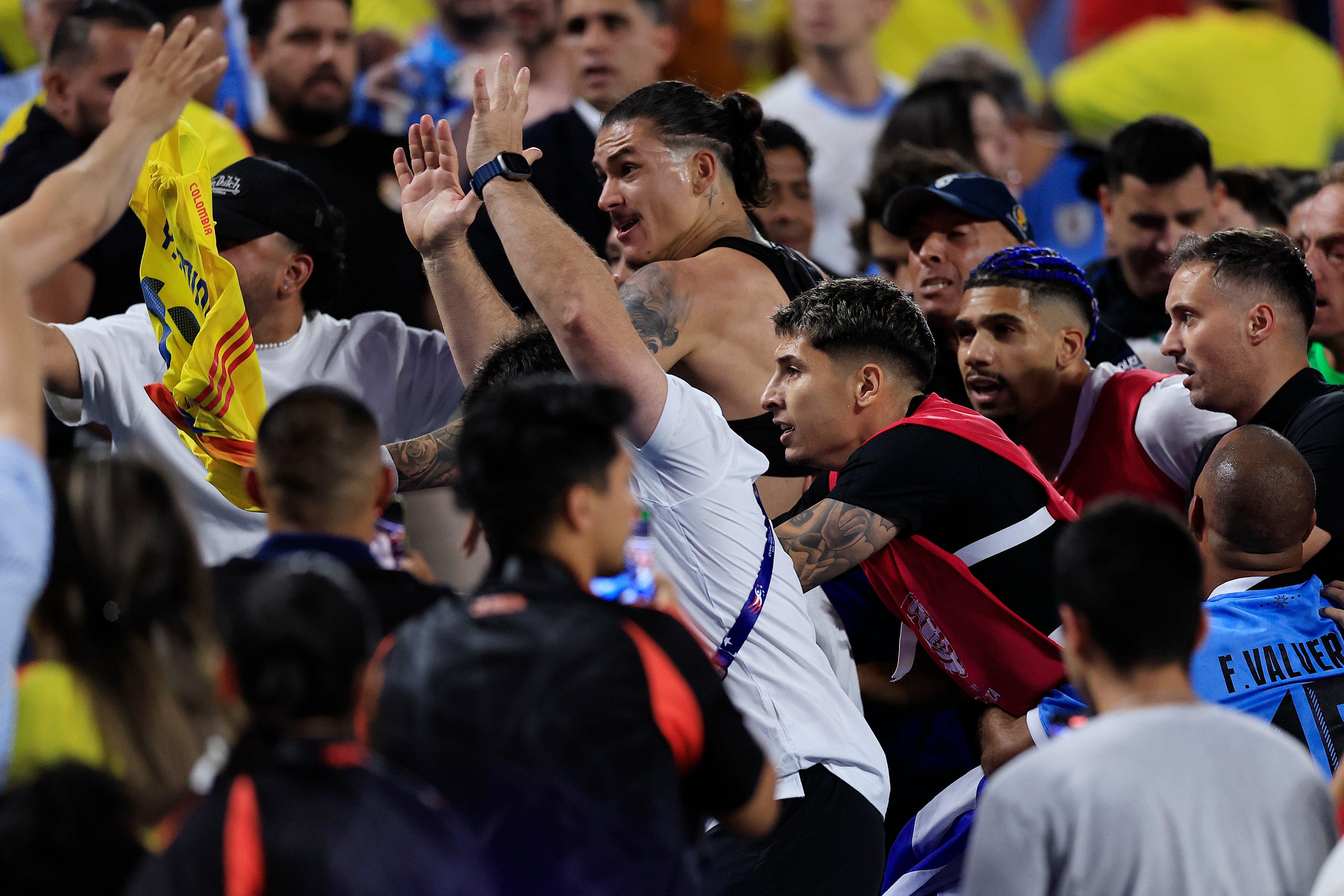 Darwin Nunez climbed into the crowd after Uruguay’s defeat