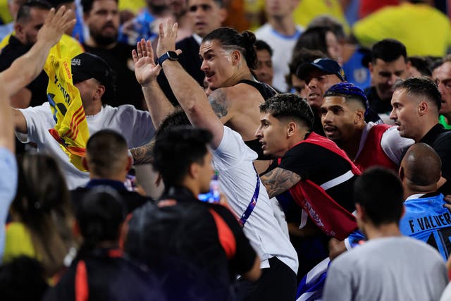 <p>Darwin Nunez climbed into the crowd after Uruguay’s defeat at the Copa America </p>