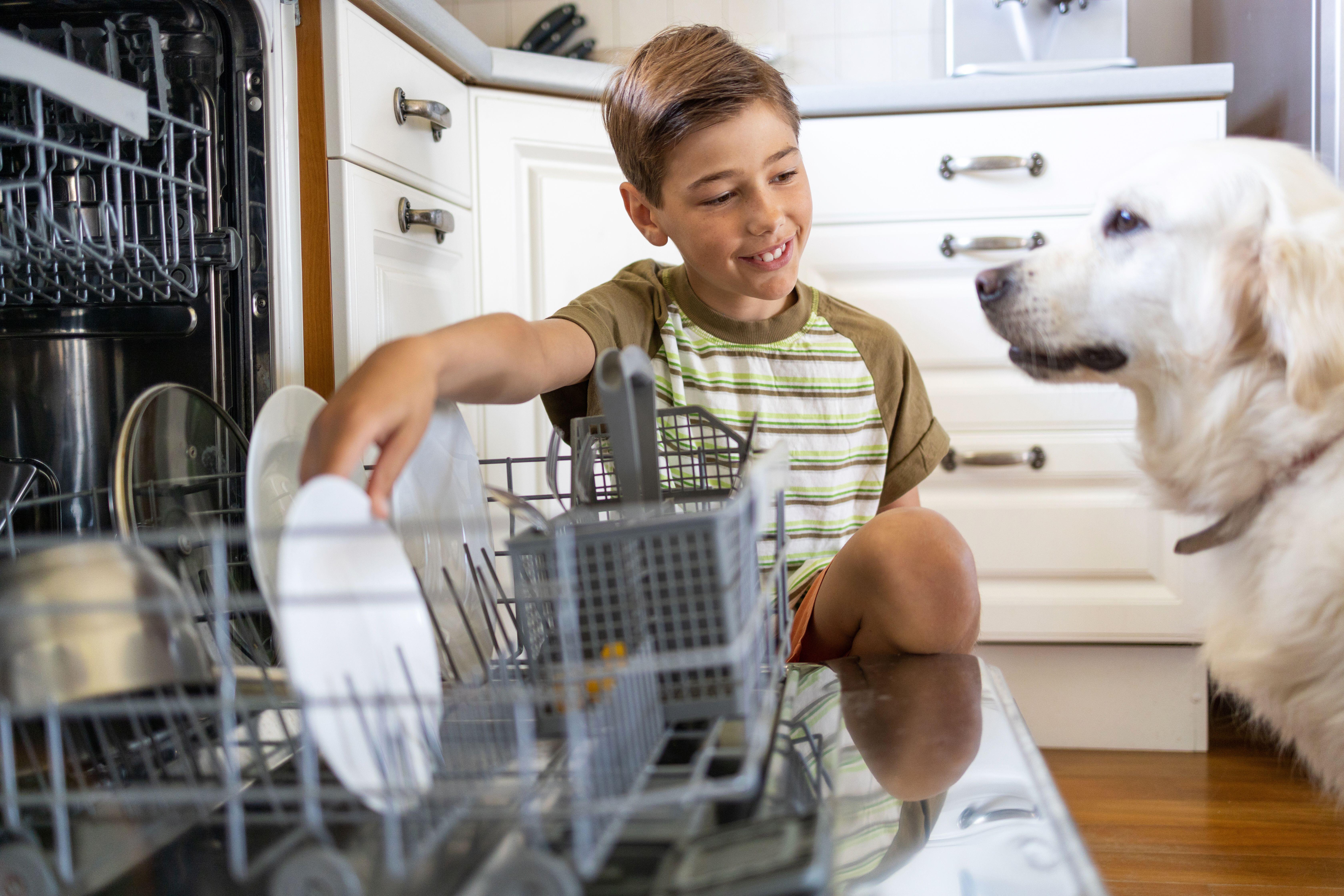 Make sure the dishwasher is full before you set it off (Alamy/PA)