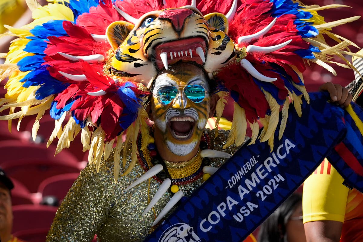 AP PHOTOS: Fans of Copa America Show their spirit- Photo Collection