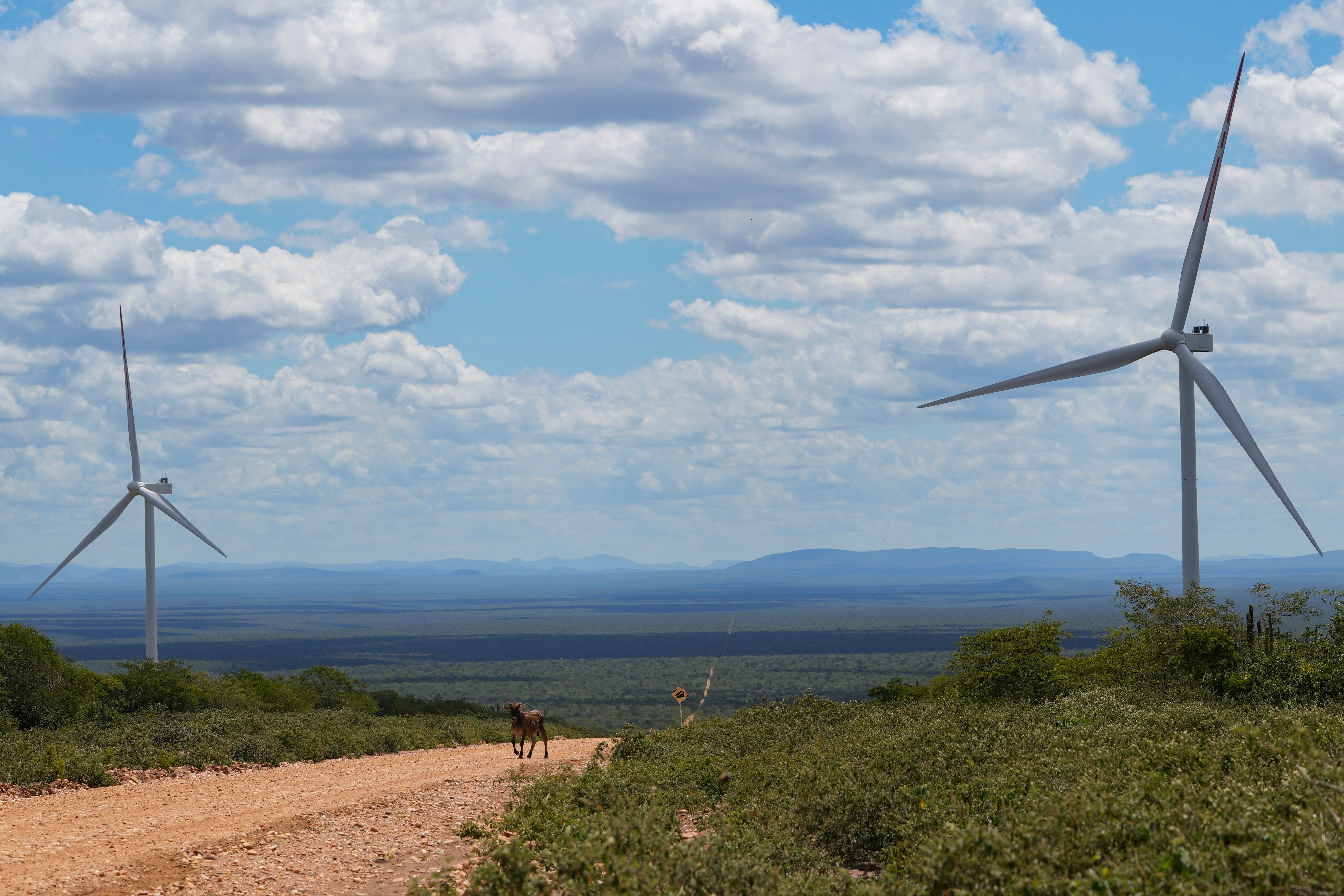 Climate Brazil Wind Energy