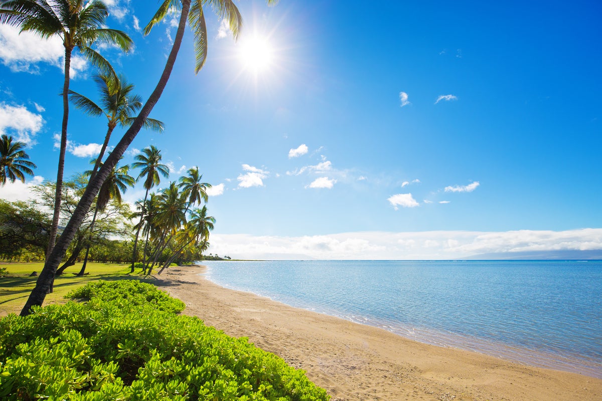 ‘Surprising’ mystery behind origin of Native Hawaiians finally solved - The Independent