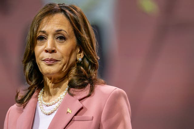 <p>U.S. Vice President Kamala Harris speaks to members of the Alpha Kappa Alpha Sorority at the Kay Bailey Hutchison Convention Center on July 10, 2024 in Dallas, Texas</p>