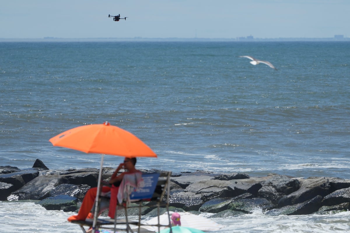https://static.independent.co.uk/2024/07/12/05/Drone_Beach_Bird_Attacks_07393.jpg?width=1200&height=800&crop=1200:800