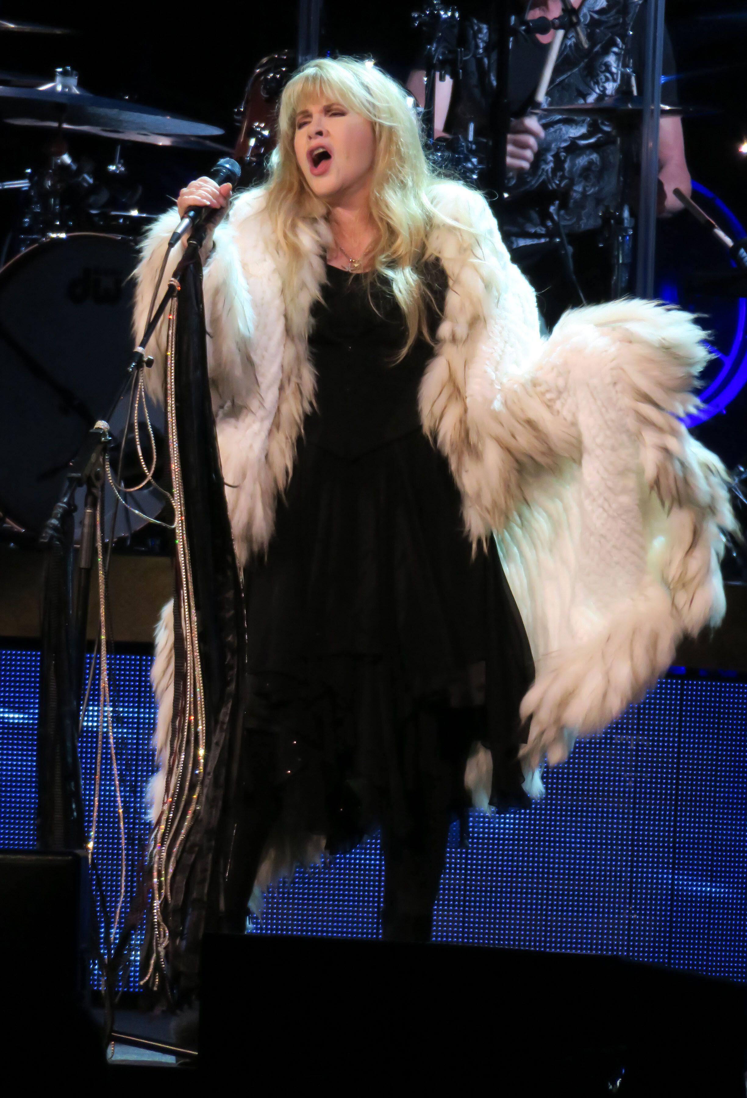 Stevie Nicks combines clashing textures and fabrics in the form of lace, velvet and fur (Alamy/PA)