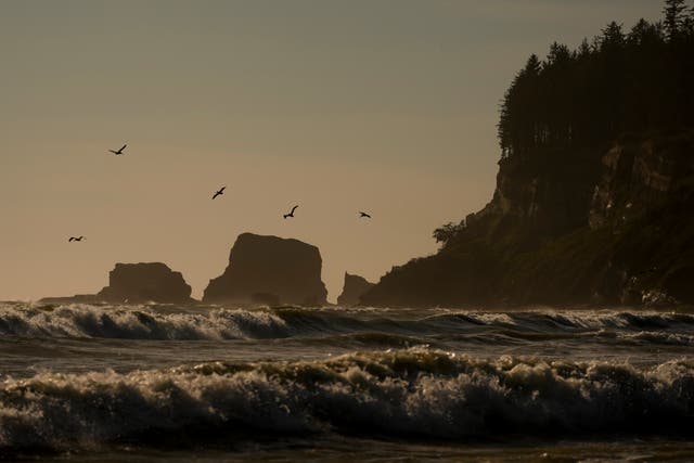 APTOPIX Climate Migration Quinault Nation