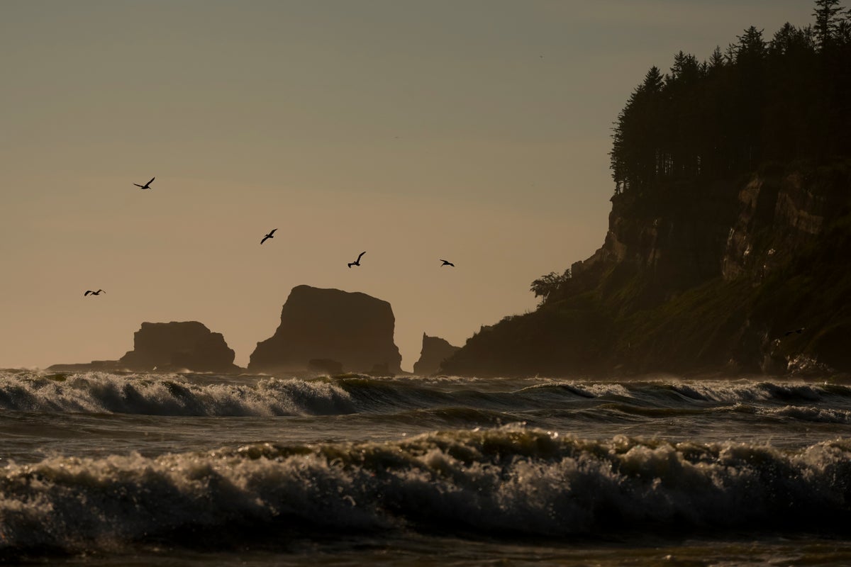 For at least a decade Quinault Nation has tried to escape the rising Pacific. Time is running out