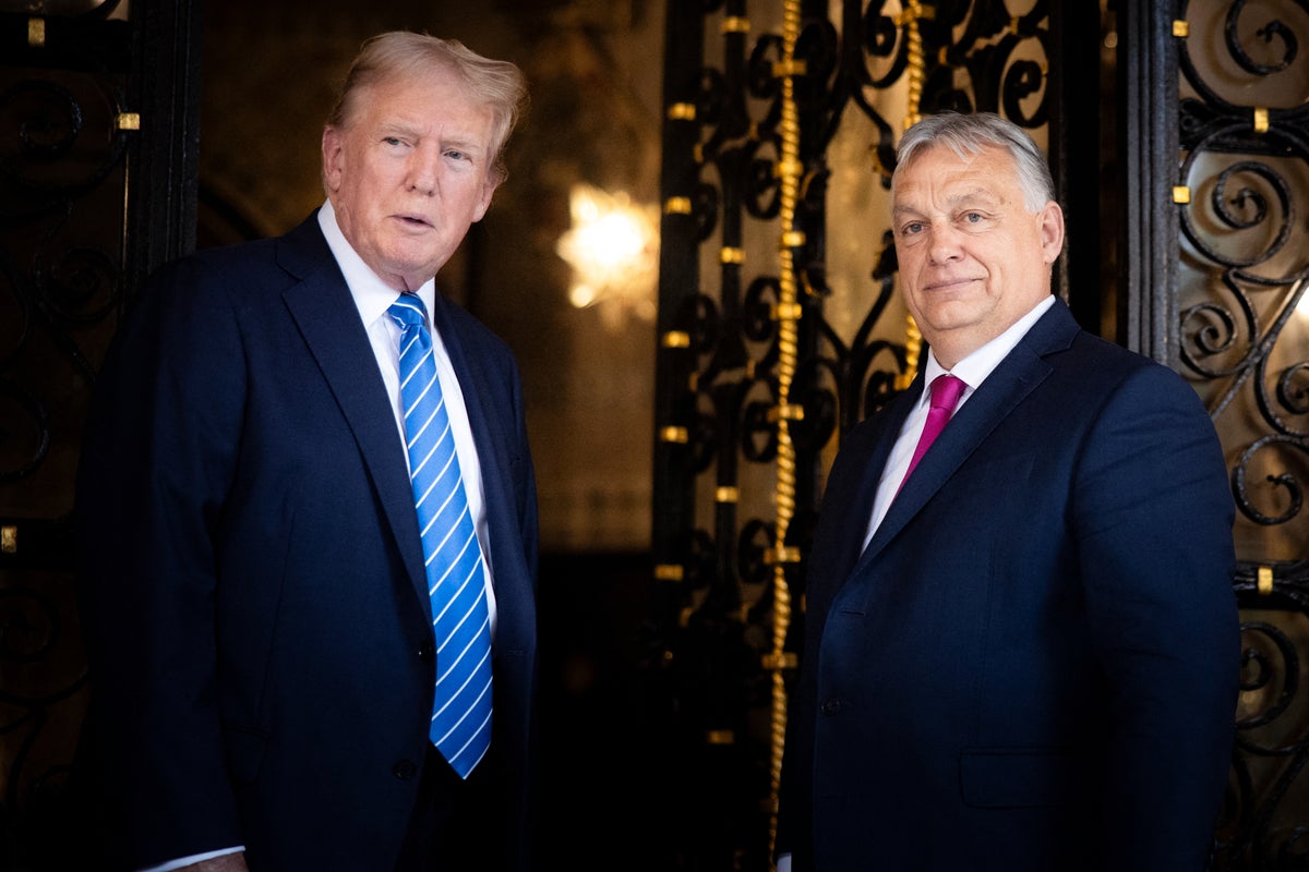 Trump will push for Ukraine-Russia peace immediately if elected, Orban says