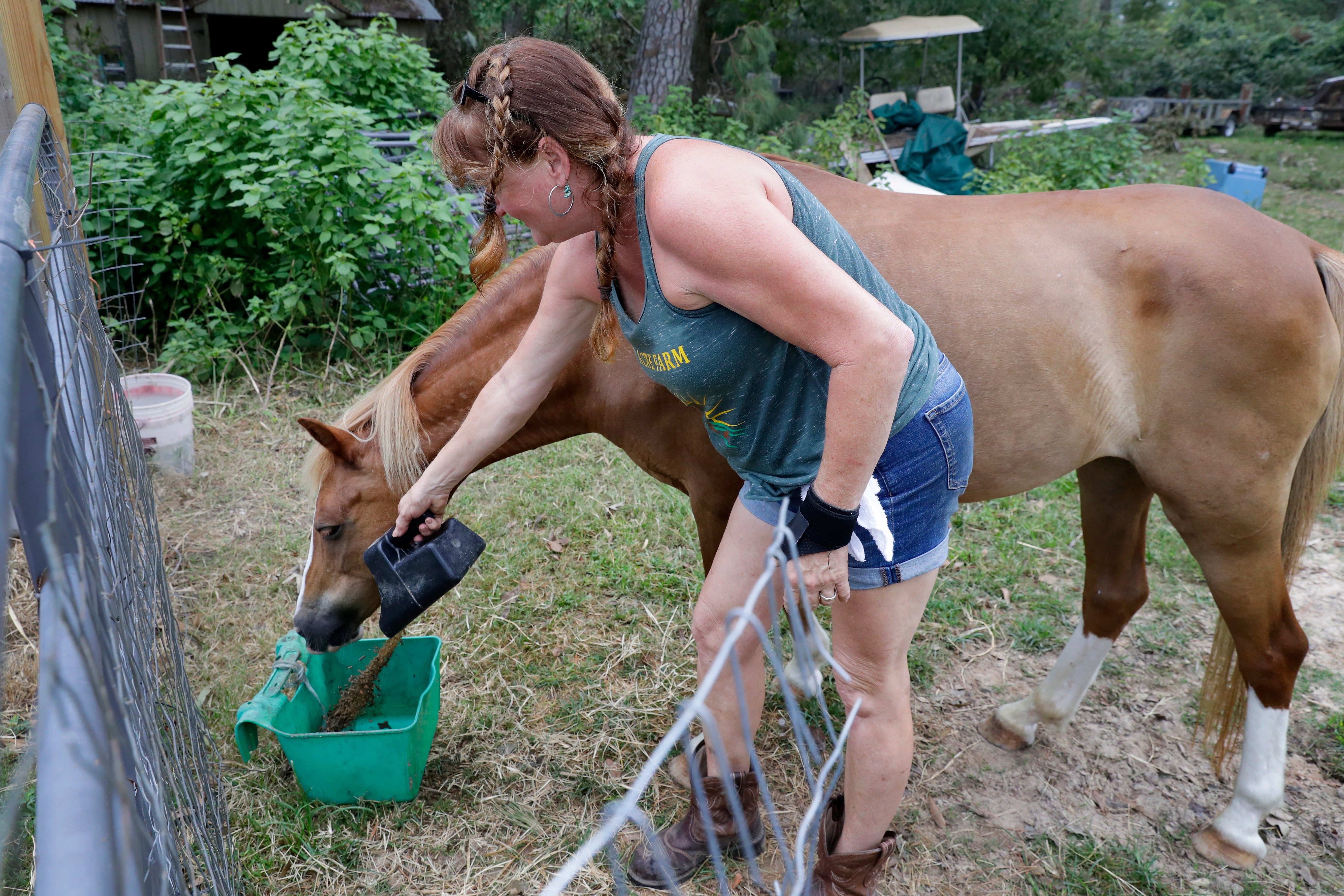 Houston Power Outages Agriculture