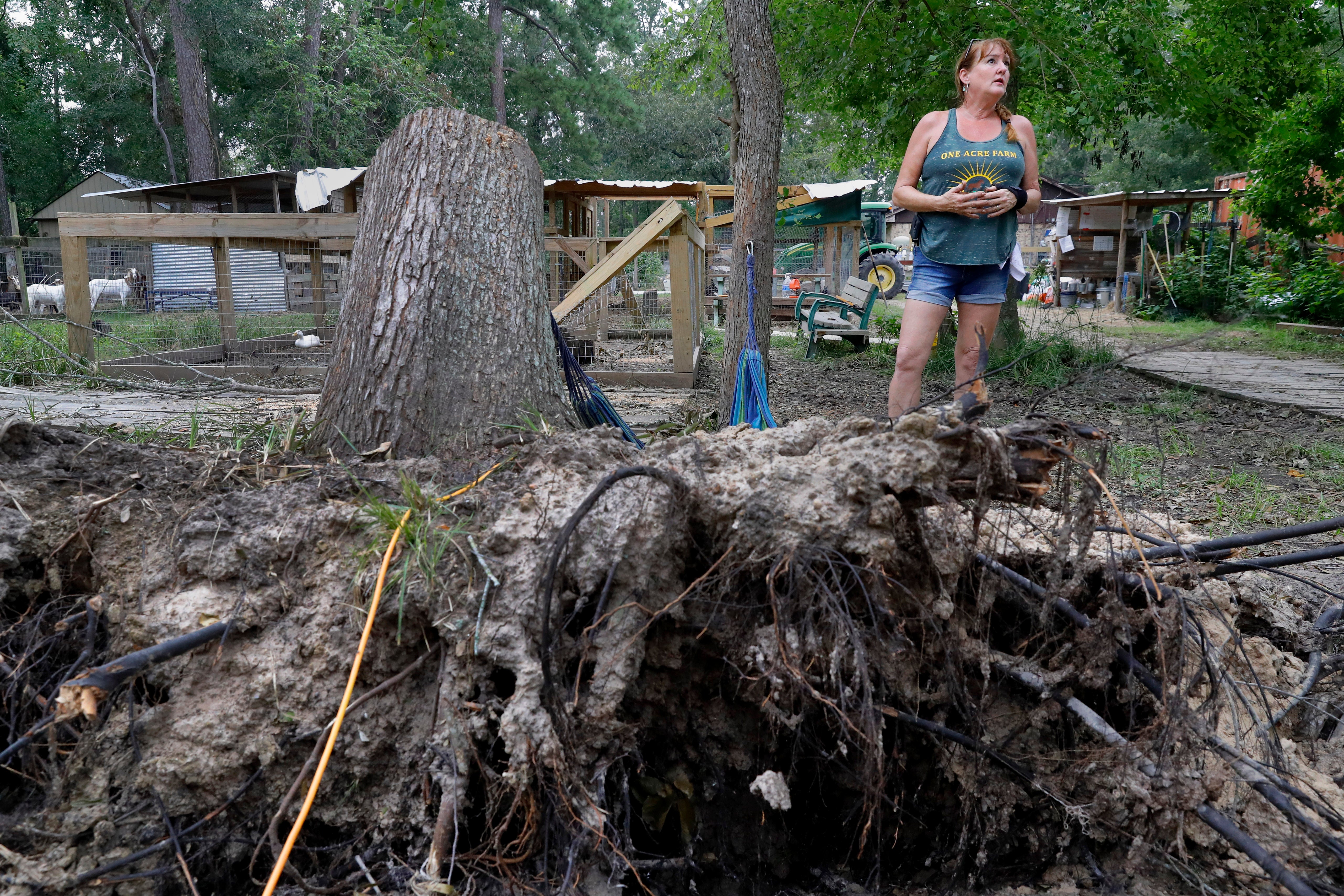 Houston Power Outages Agriculture