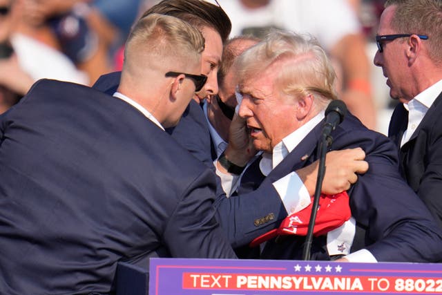 <p>President Trump is helped off stage by Secret Service agents following a shooting at his rally in Pennsylvania on July 13, 2024. The former president was shot but survived </p>