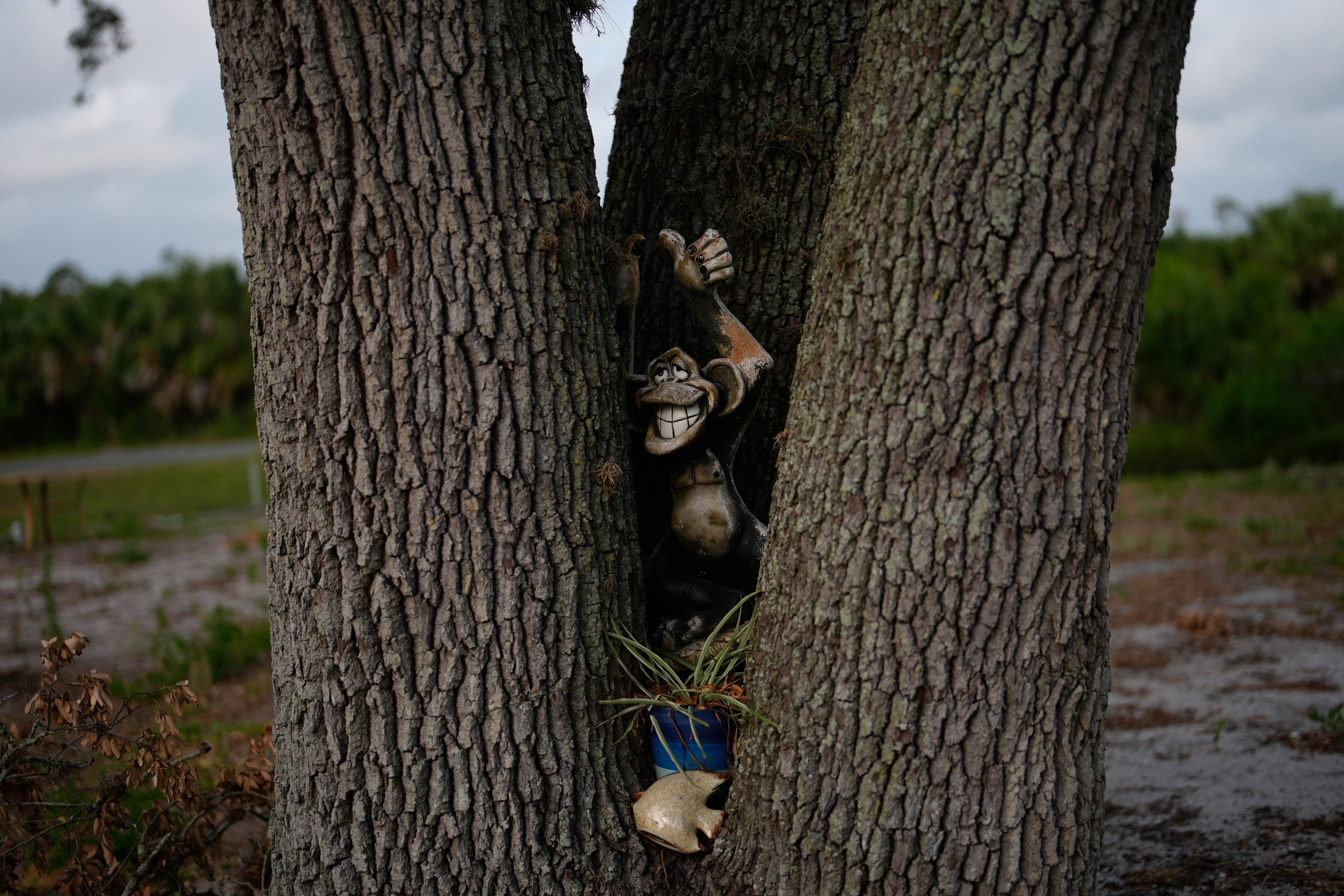 Climate Hurricane Recovery