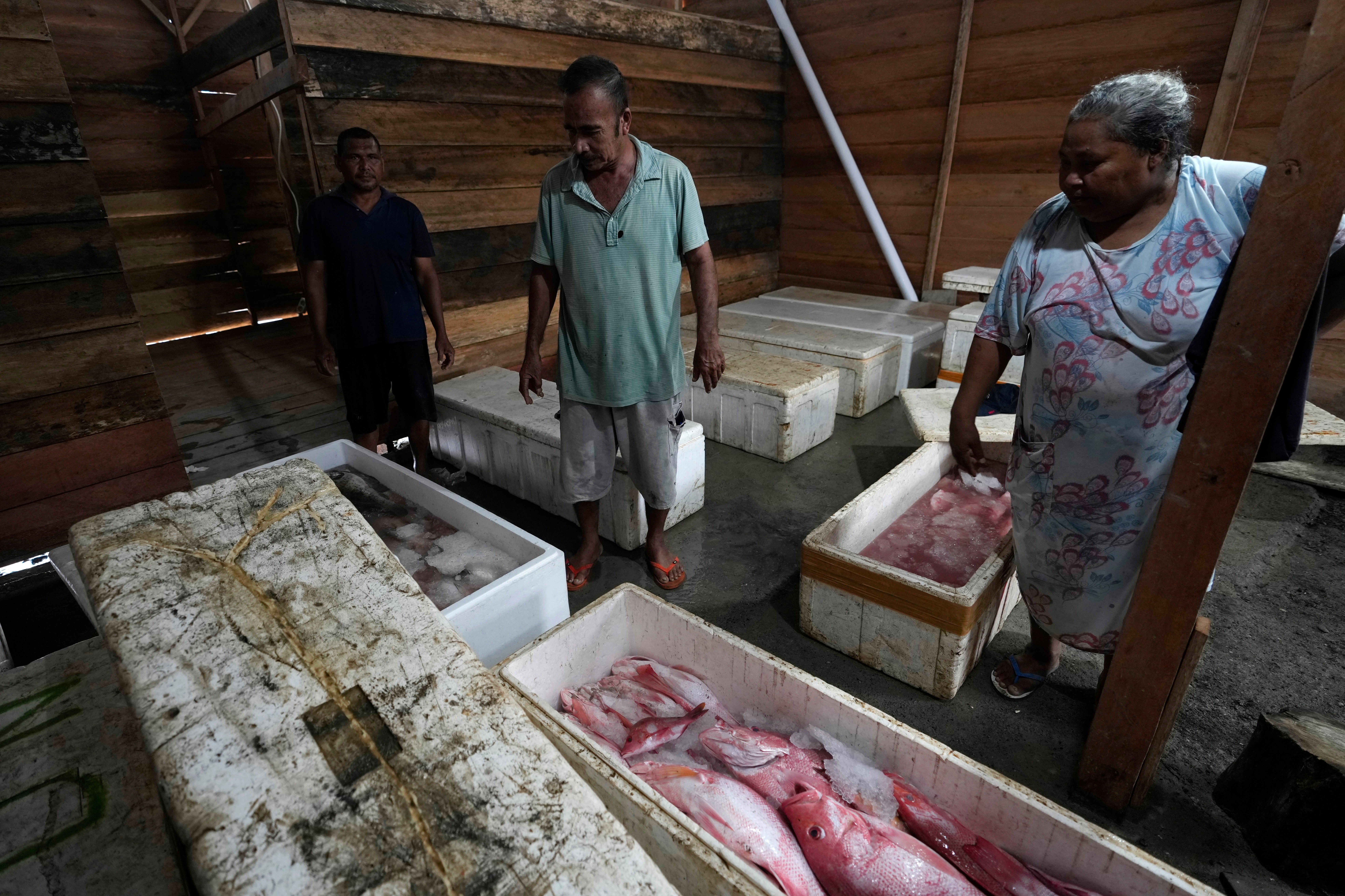 Indonesia Deforestation Nickel Smelters