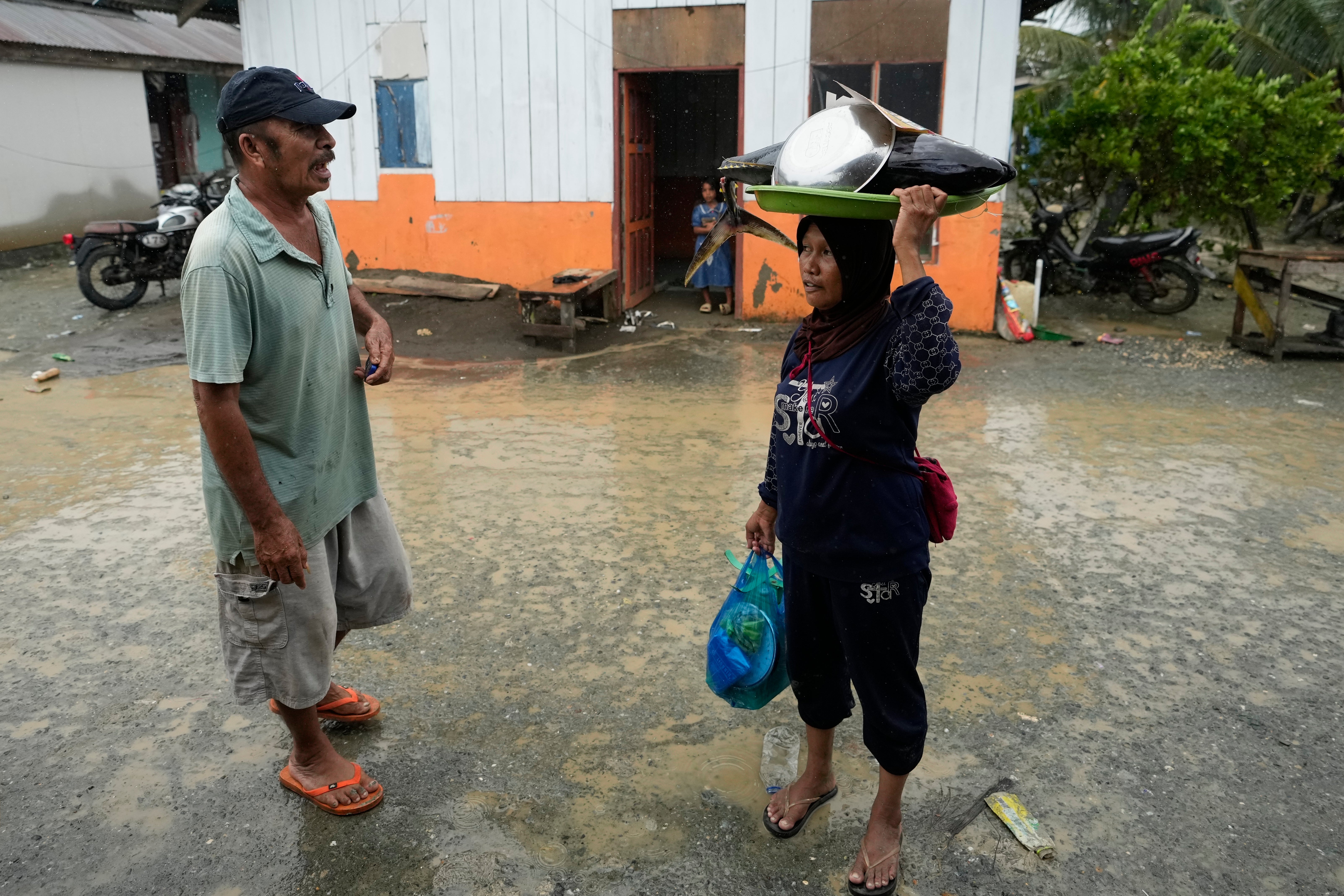 Indonesia Deforestation Nickel Smelters