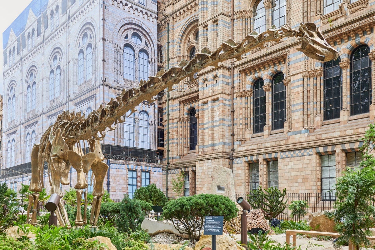 Natural History Museum opens new urban gardens complete with bronze dinosaur