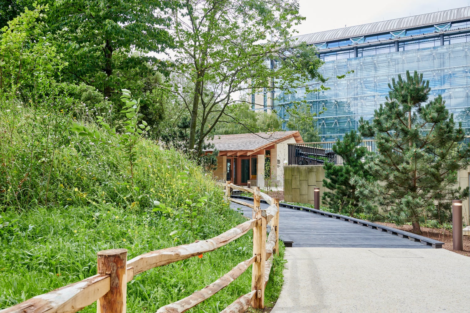 A footpath with wooden fences and greenery on the left, with the activity center directly ahead