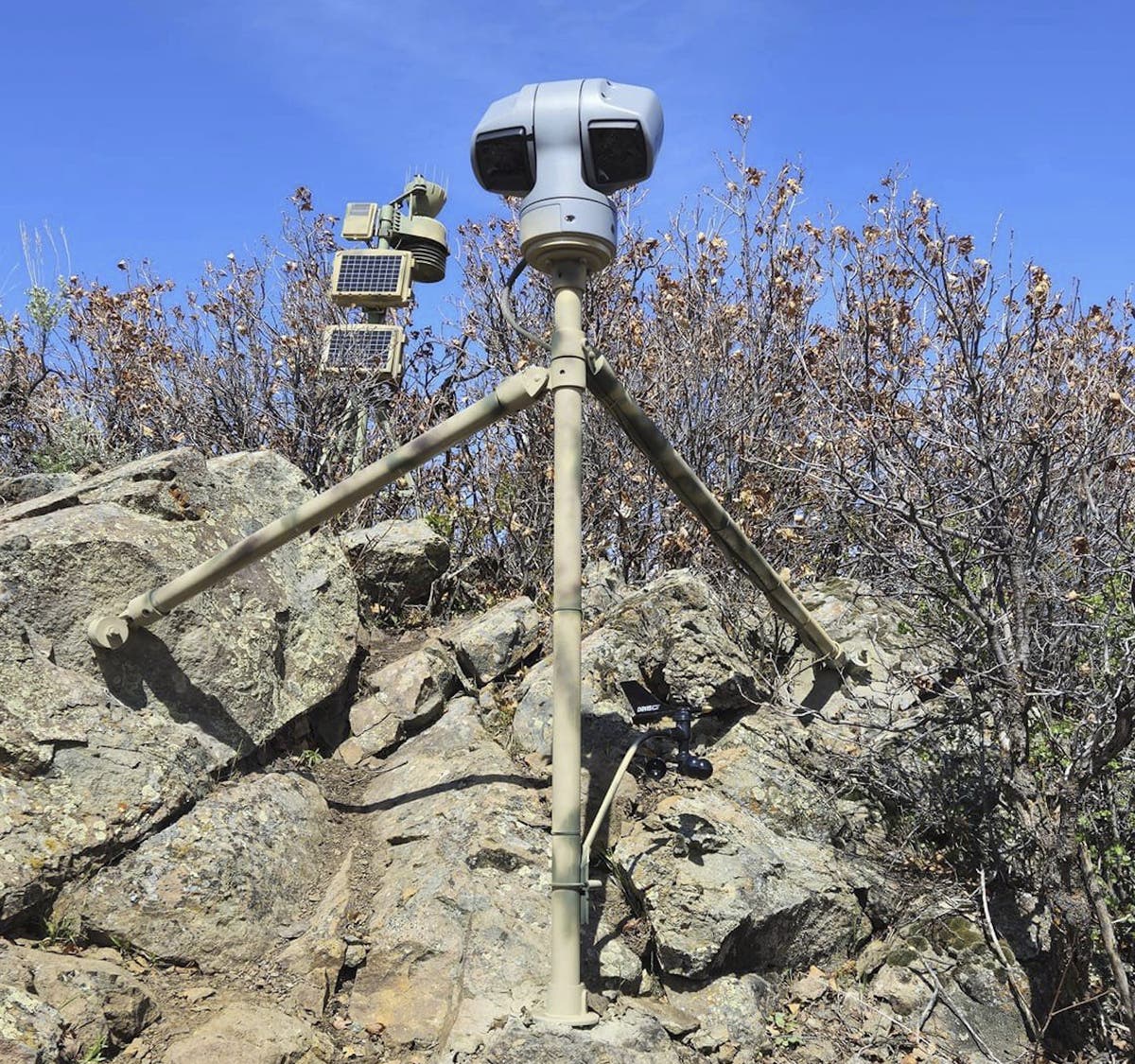 Webcam monitors hundreds of rattlesnakes at a Colorado 'mega den' for citizen science