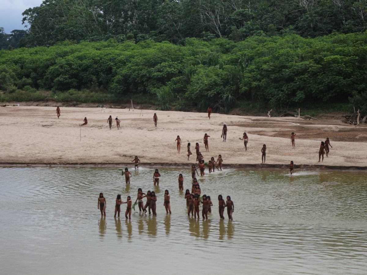 Rare new pictures show uncontacted Amazon tribe threatened by loggers