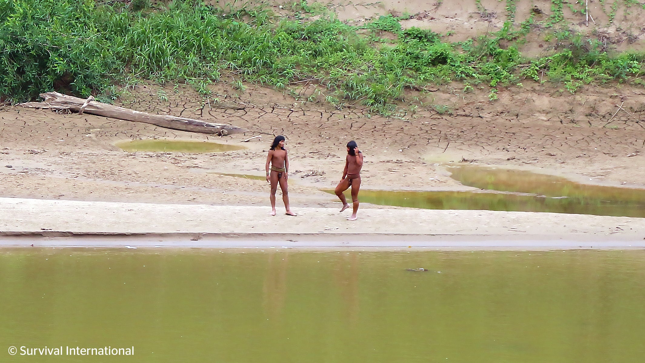 Members of the Mashco Piro, a reclusive tribe, gather on the banks of the Las Piedras river