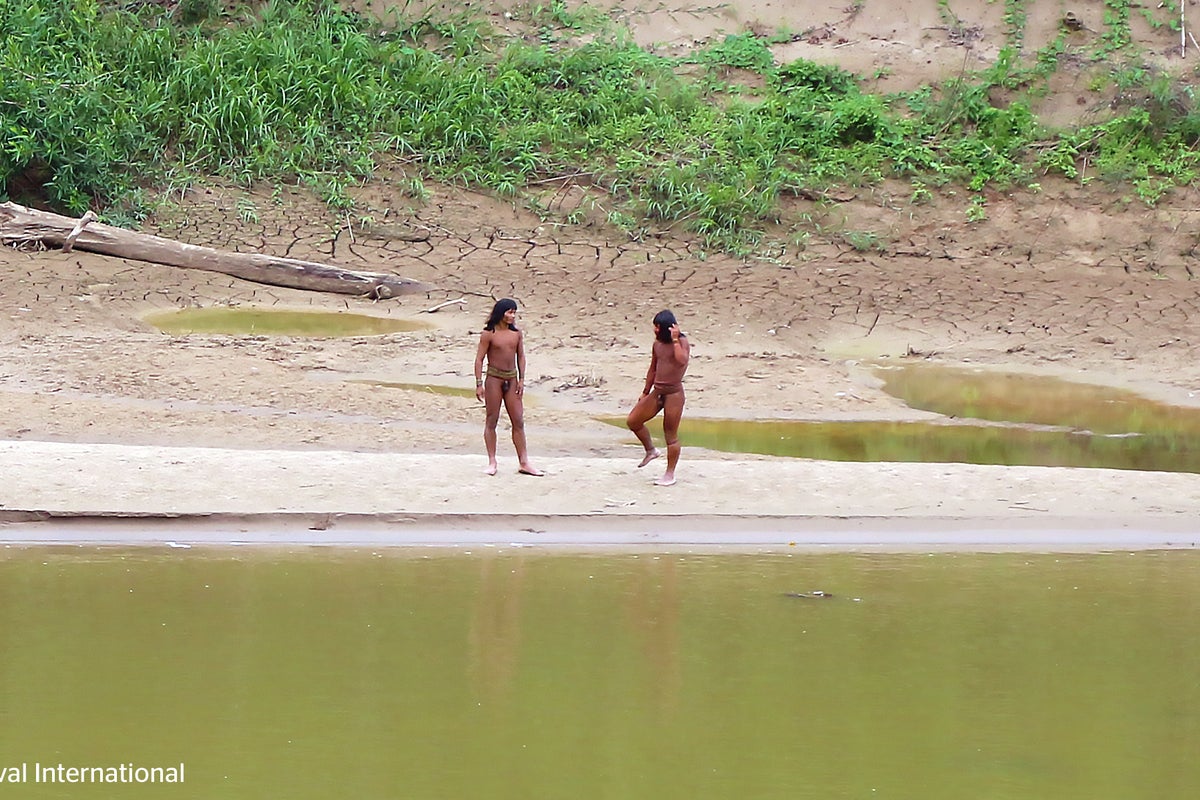 Fears for isolated Peruvian tribe seen near logging site
