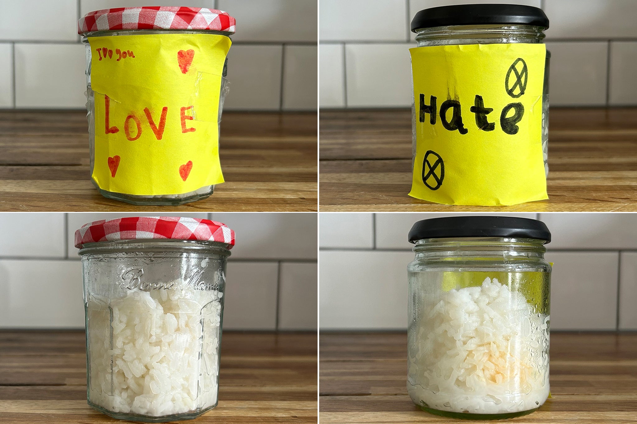 When Charlotte Cripps and her two sons carried out the famous Emoto rice experiment, the rice in the jar 