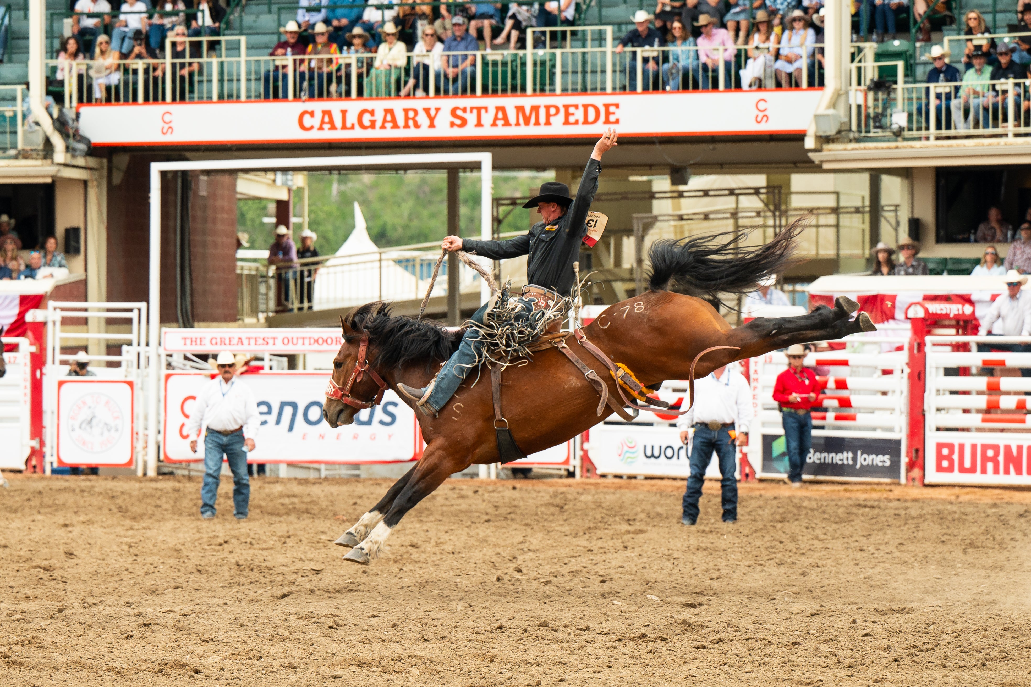 Rodeio no Calgary Stampede em 2024 – este ano teve o maior público de todos os tempos, com quase 1,5 milhão de visitantes