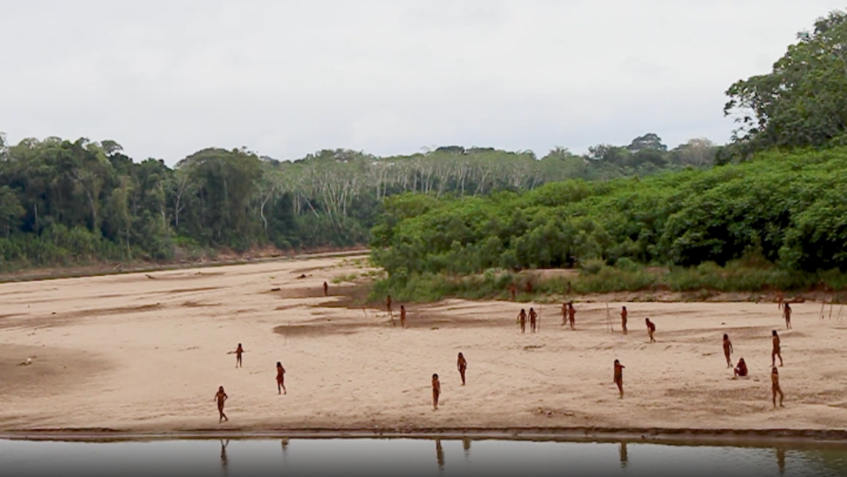 Uncontacted tribe threatened by expanding logging activities seen in new video