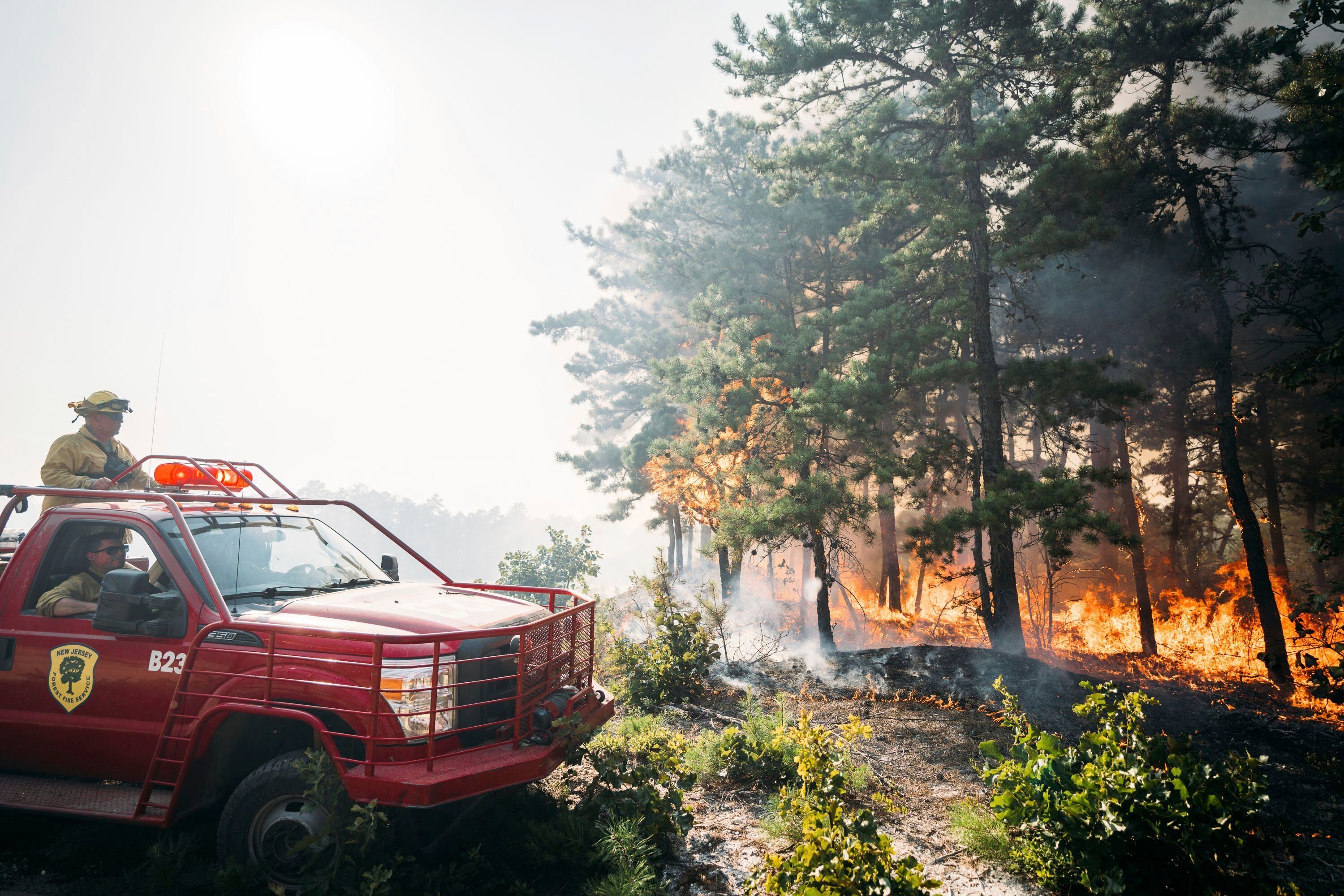 New Jersey Forest Fire