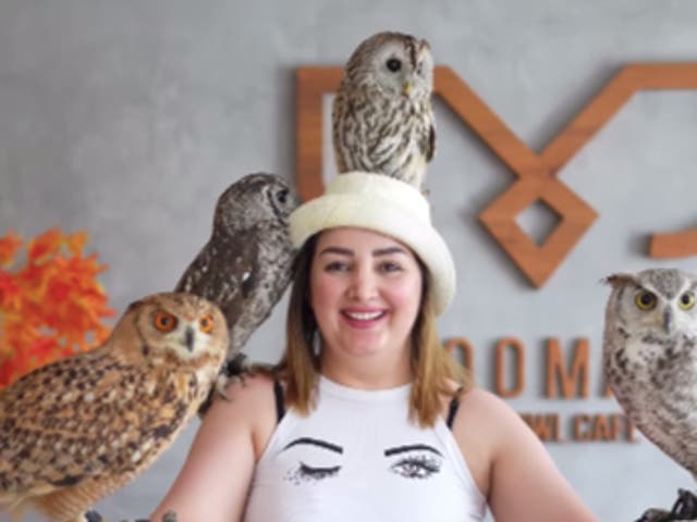 <p>Boomah [The owl cafe] in Abu Dhabi is facing animal cruelty allegations</p>