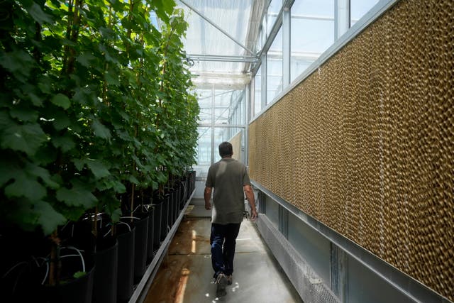 Climate Greenhouses Heat What We Know