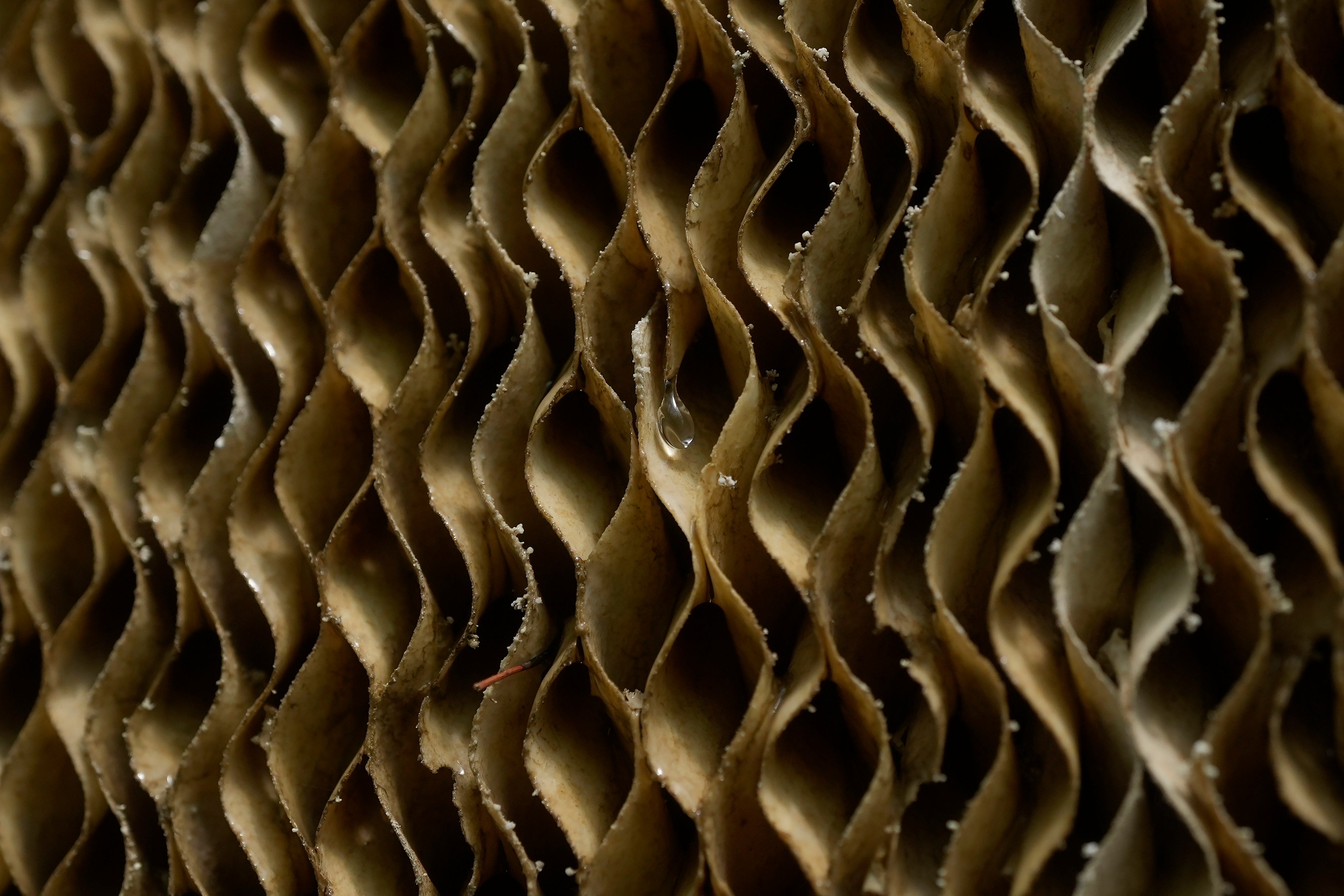 Climate Greenhouses Heat What We Know