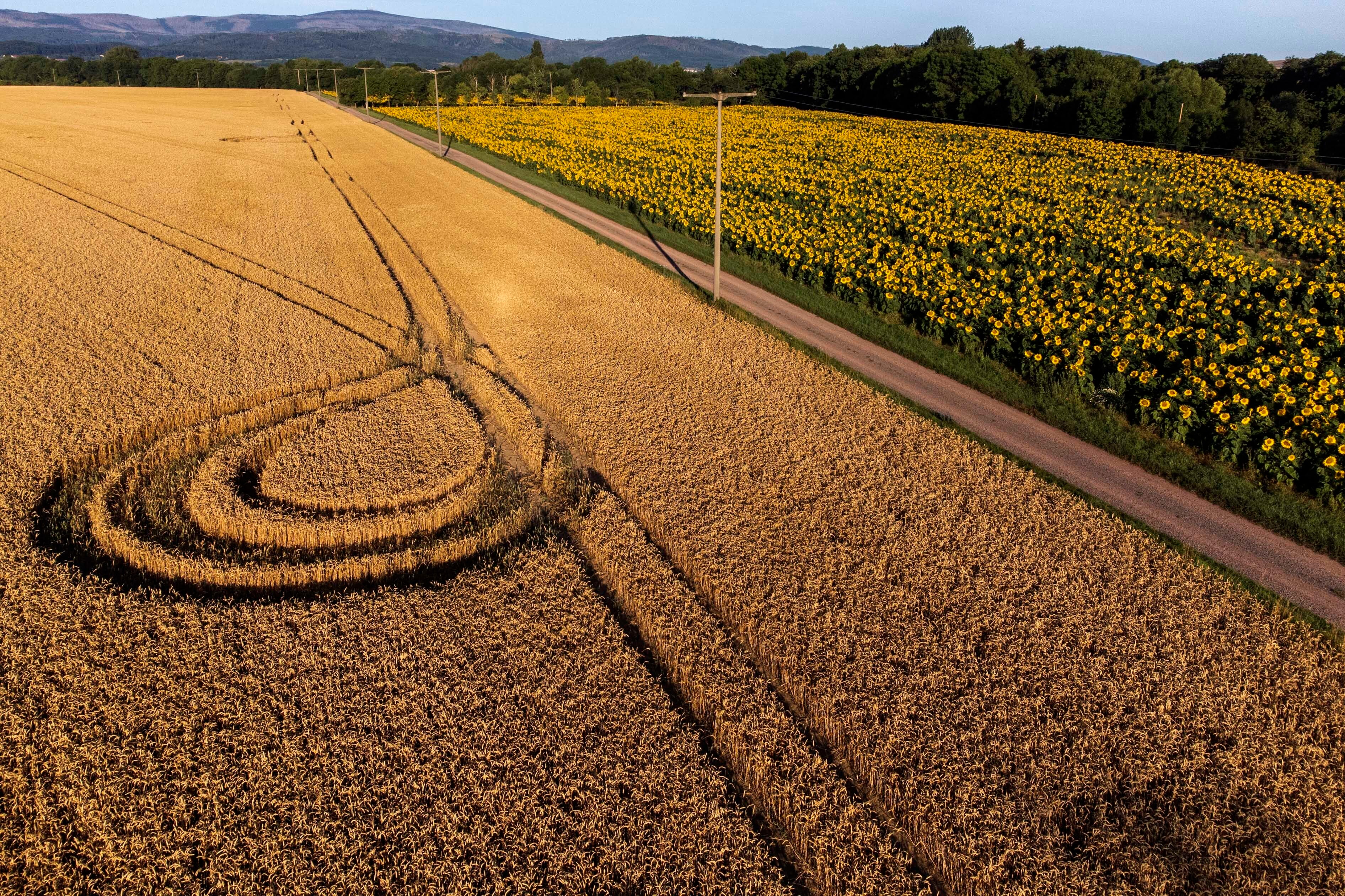 Germany Daily Life Weather
