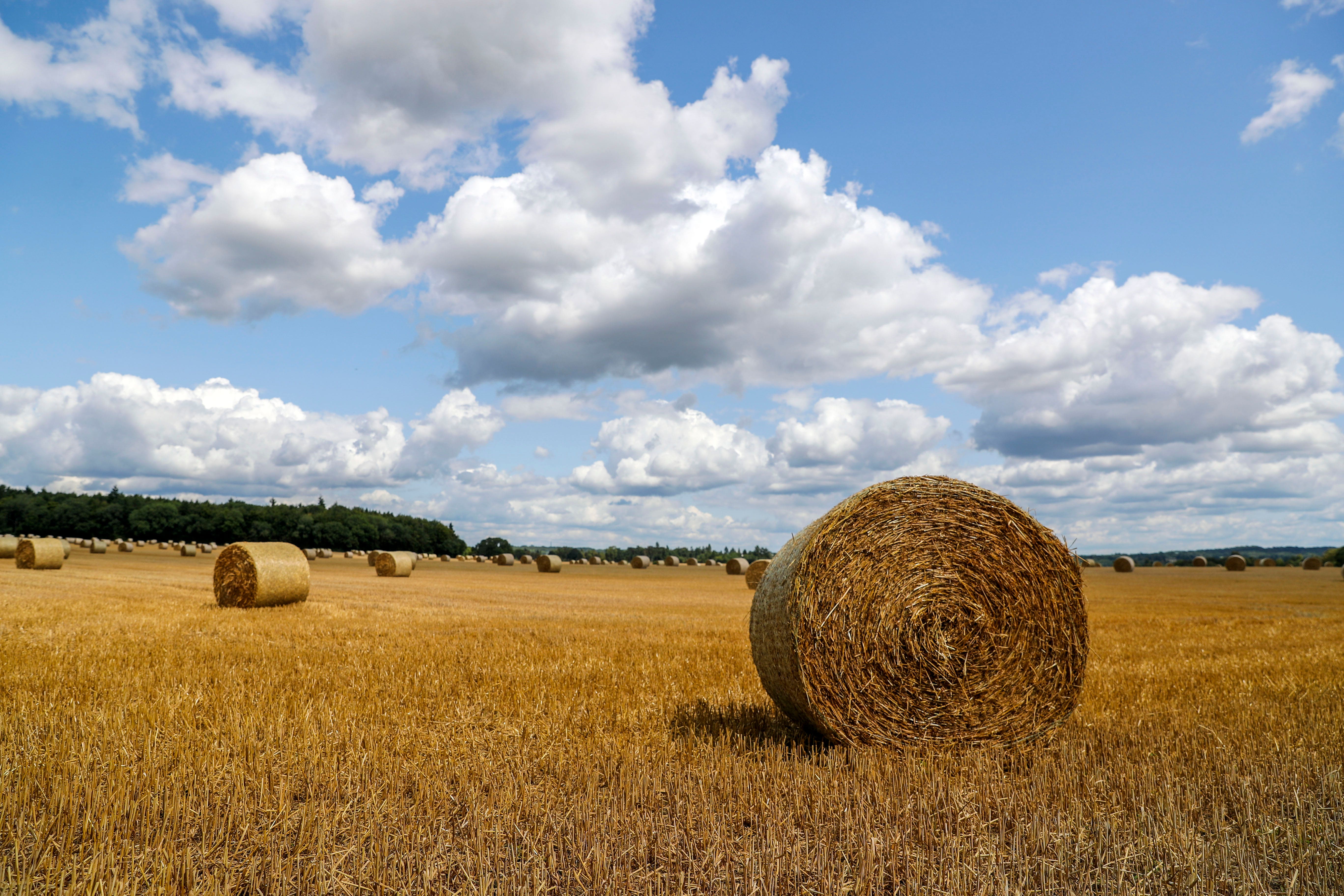 In 2019, the NFU set out ambitions to reduce the greenhouse gas emissions of the agricultural sector to zero overall by 2040 (PA)