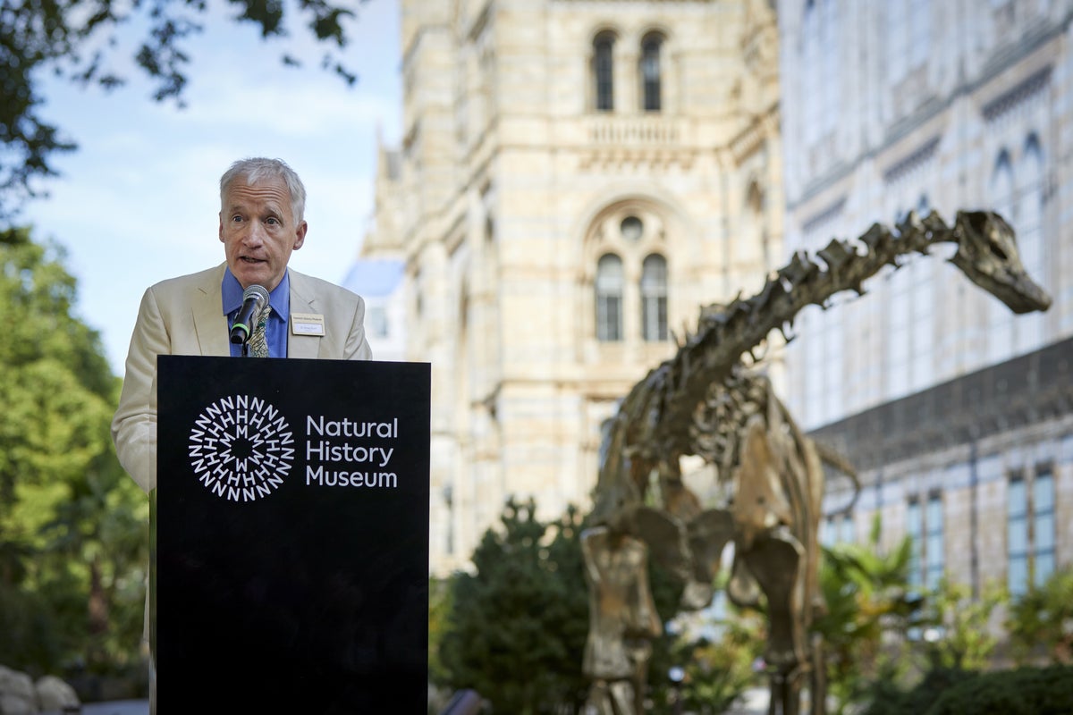 Former Amazon boss set to be next CMA permanent chairman