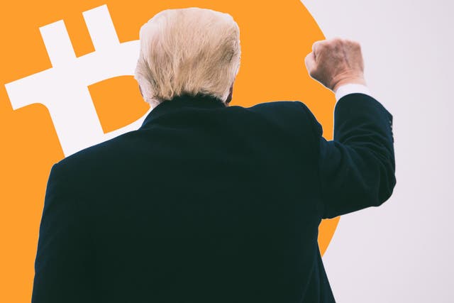 <p>Donald Trump is pitching himself as the first ‘crypto president’</p>