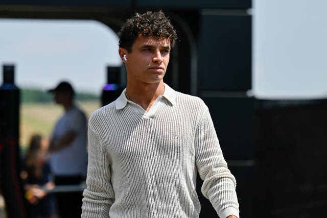 Lando Norris is second in the World Championship standings ahead of the Hungarian Grand Prix (Denes Erdos/AP)