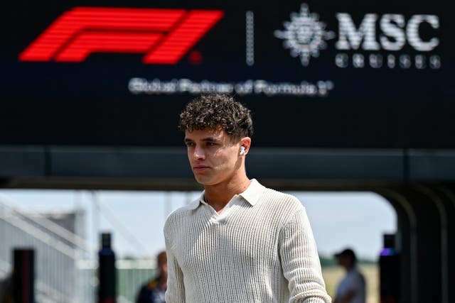 Lando Norris finished fastest in practice on Friday (Denes Erdos/AP)