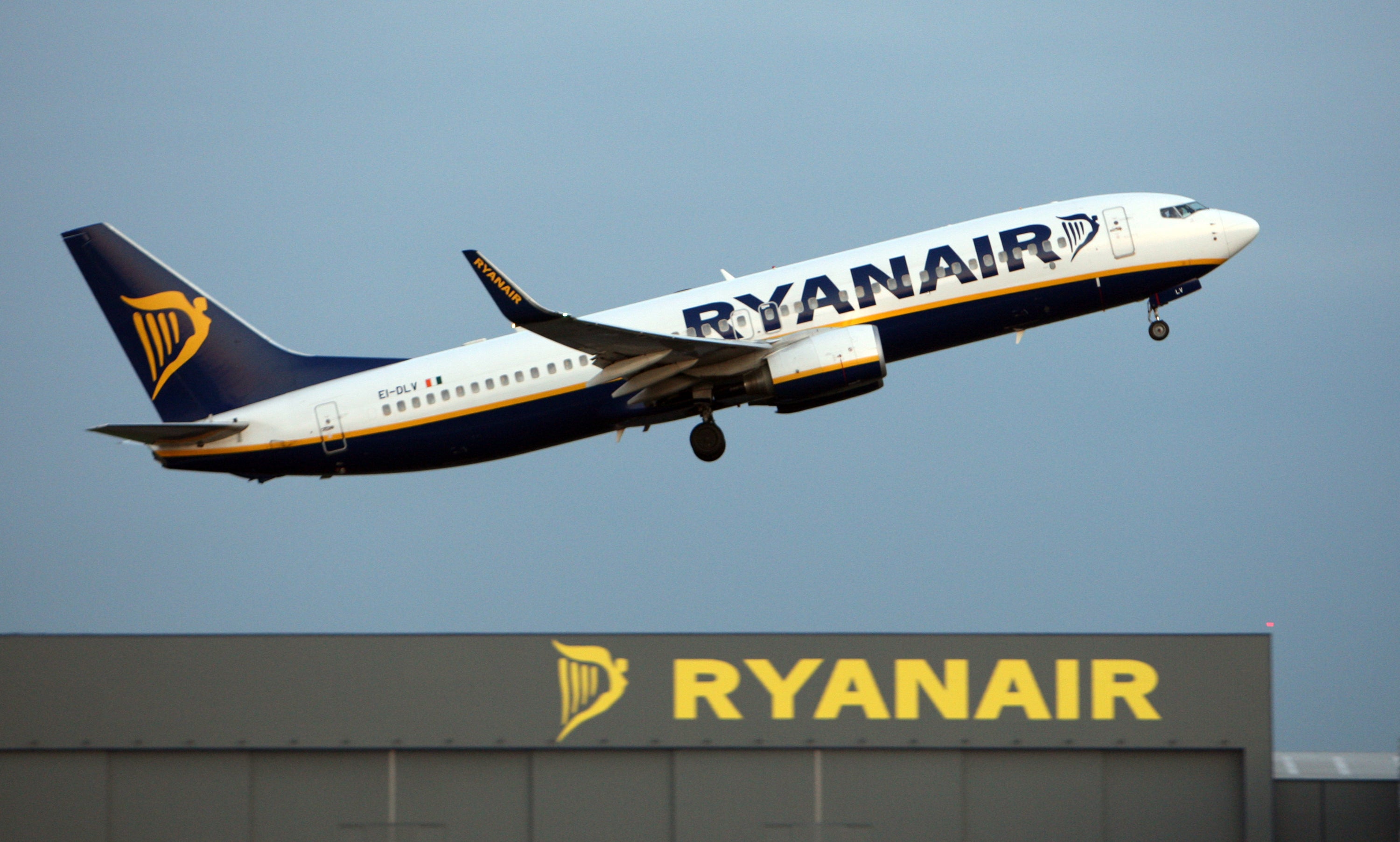 Ryanair said online check-in services are available again (Chris Radburn/PA)