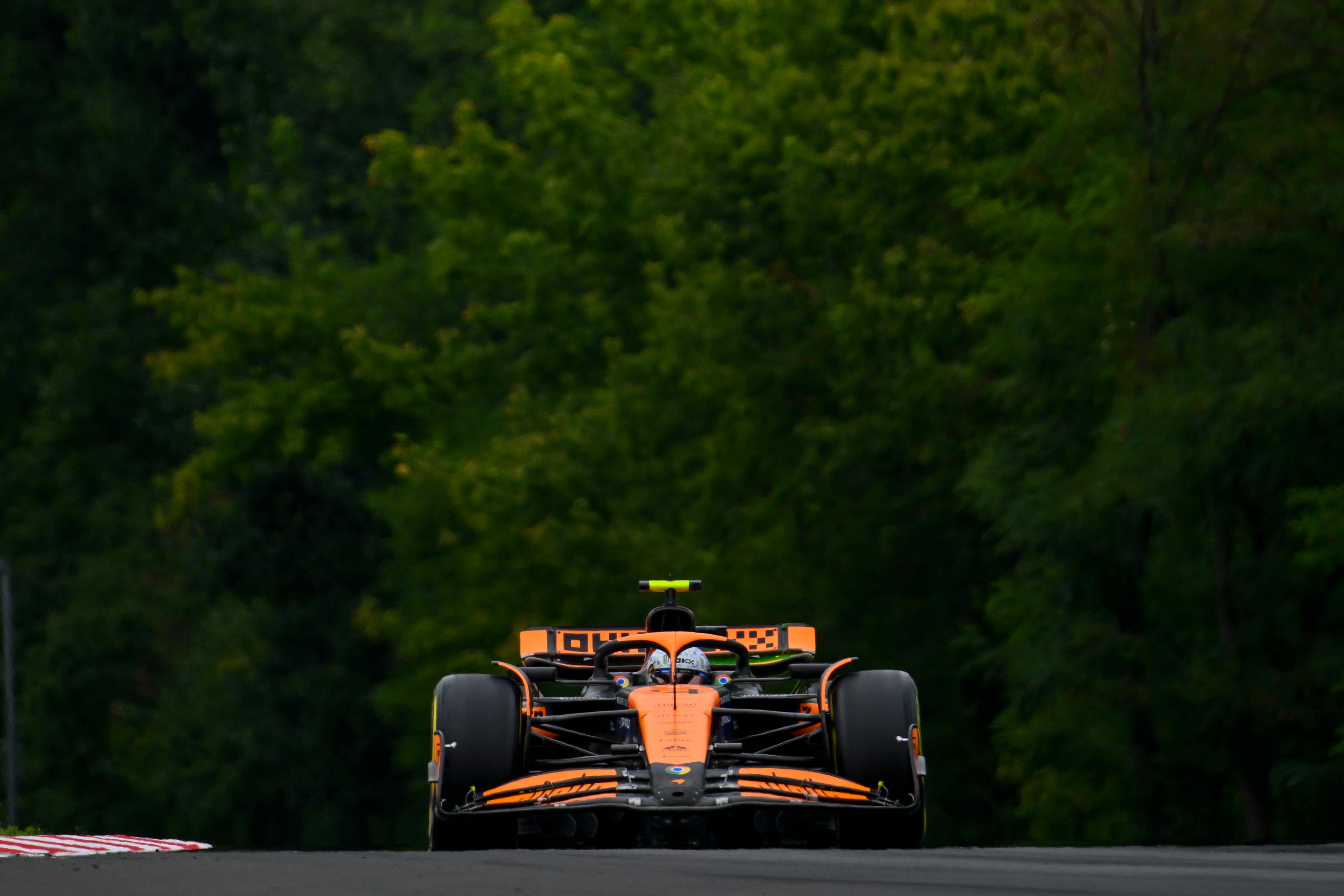 Lando Norris finished fastest in final practice (Denes Erdos/AP)