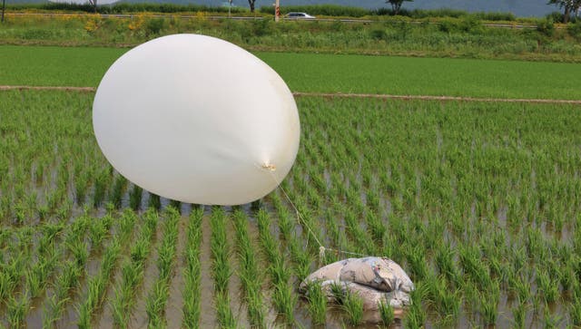 <p>File A balloon presumably sent by North Korea, is seen in a paddy field in Incheon, South Korea, on 10 June</p>