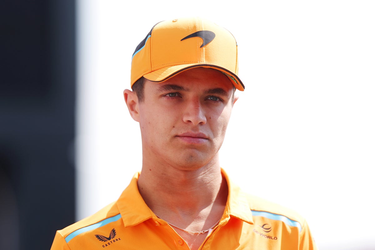 F1 Hungarian Grand Prix LIVE: Race start time and updates as Lando Norris starts on pole
