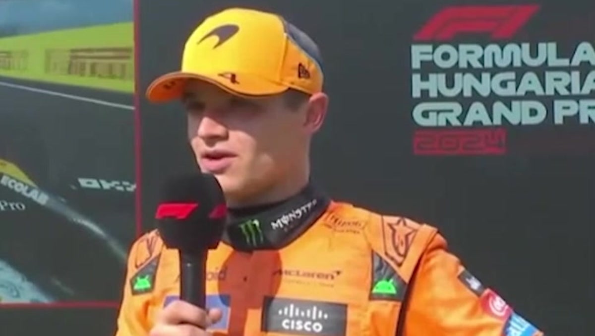 Watch: Lando Norris reacts to dramatic end to Hungarian Grand Prix